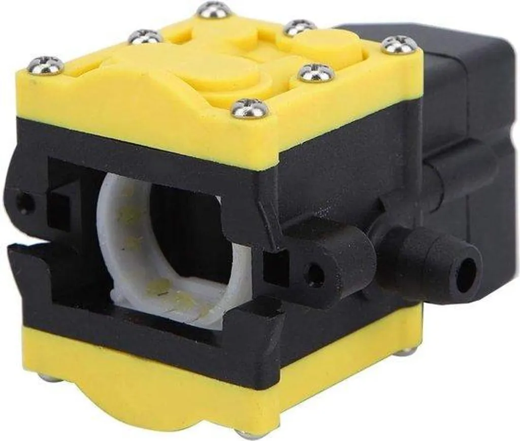 Mini pompe à eau 12V auto-amorçante portative pour évacuation jardin