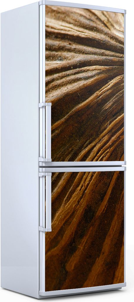 Magnete Dekorative - 60 cm x 180 cm - Küche Magnetmatte Kühlschrankmagnete - Kokosnuss Nahaufnahme