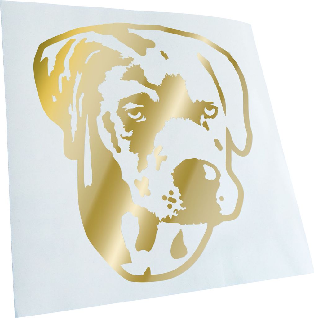 Kiwistar - Autoaufkleber - Catahoula Leopard Dog Hund - Goldchrom - 60x55cm - Aufkleber für Auto, Laptop, Fahrrad, LKW, Motorrad mehrfarbig JDM De...