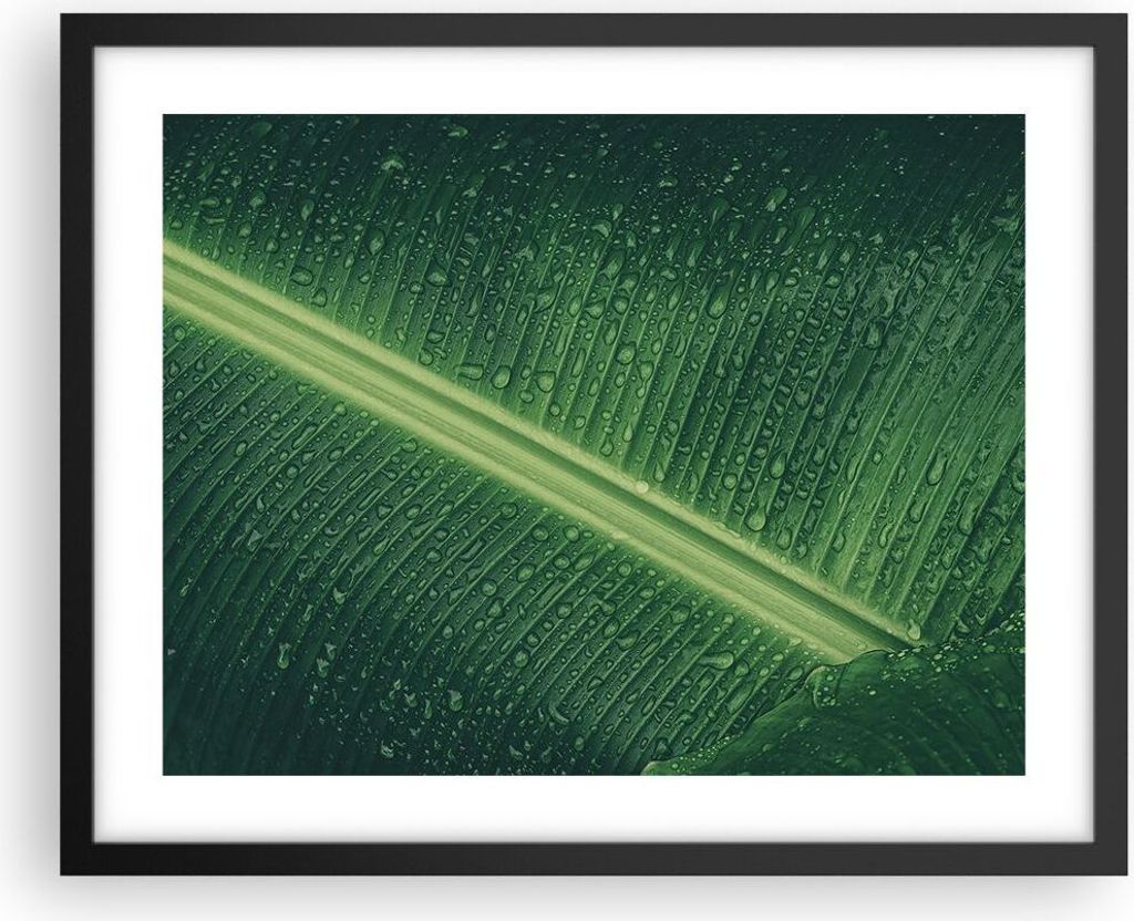 Gerahmtes Poster - Schwarzer Rahmen - Makro Blatt Tropfen - 50x40 cm - Wand Bild - Wanddeko - Wandbilder - Kunstposter - Wandposter - Bilderrahmen ...