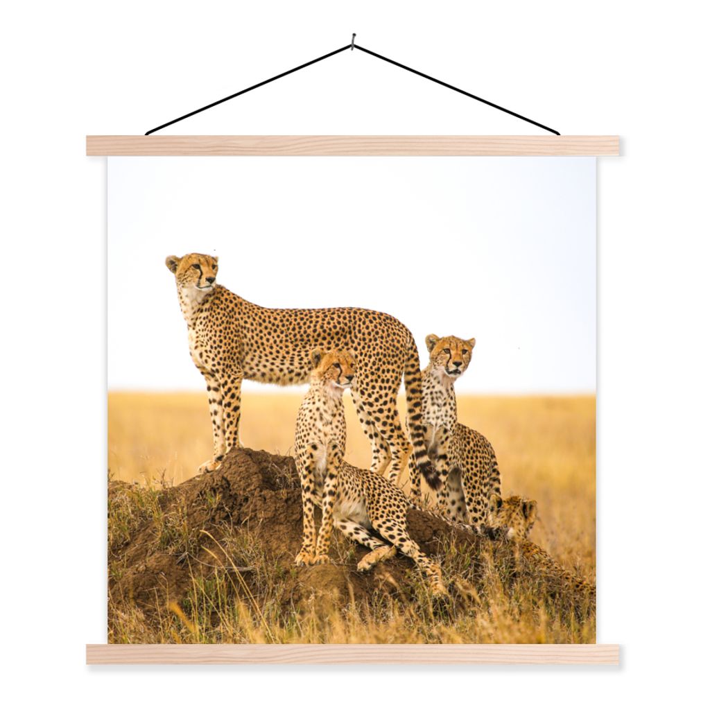 MuchoWow Textilposter Gepard - Gras - Natur - Savanne 40x40 cm mit holzfarbenen Rahmen - Posterleiste
