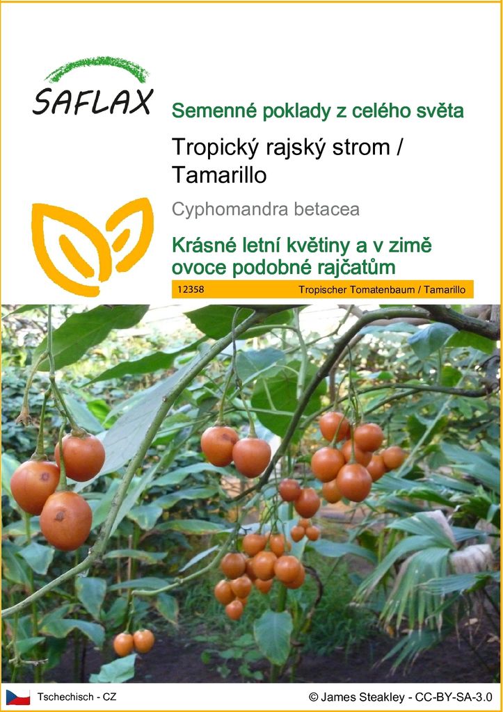 SAFLAX - Tropický rajský strom / Tamarillo - Cyphomandra Obrázek produktu 