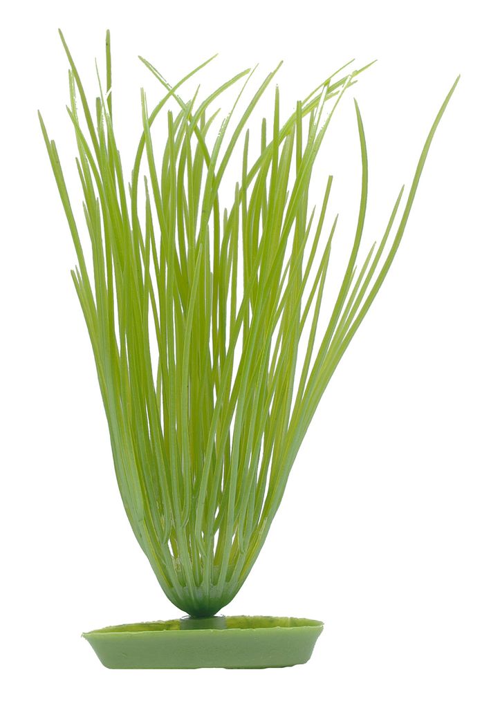 Hagen MA Aquascaper Hairgrass 13cm; PP511