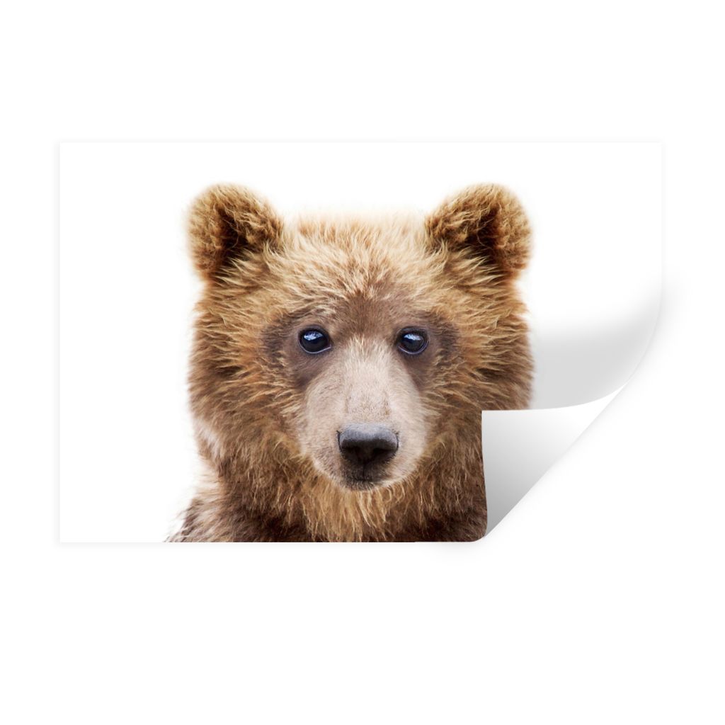 MuchoWow Wandtattoo Wandsticker Wandaufkleber Bär - Braun - Tiere - Natur 30x20 cm Selbstklebend und Repositionierbar - Wierderverwendbar - Selb...