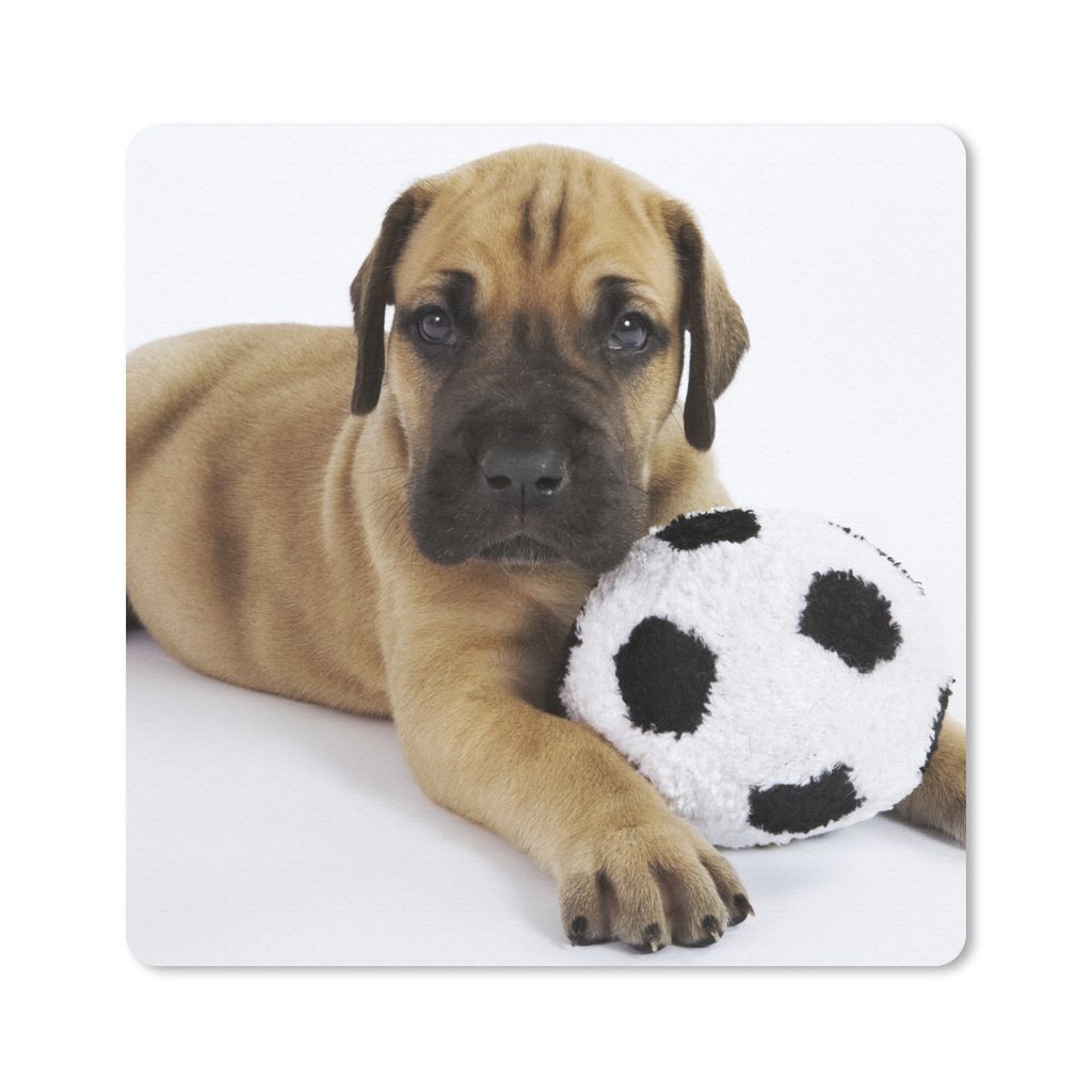 MuchoWow Mauspad Mousepad Ein brauner Welpe mit einem Fußball 20x20 cm - Mousepads - Maus Mat - Pad - Mausunterlage - Desk Mat - Bureauartikeln