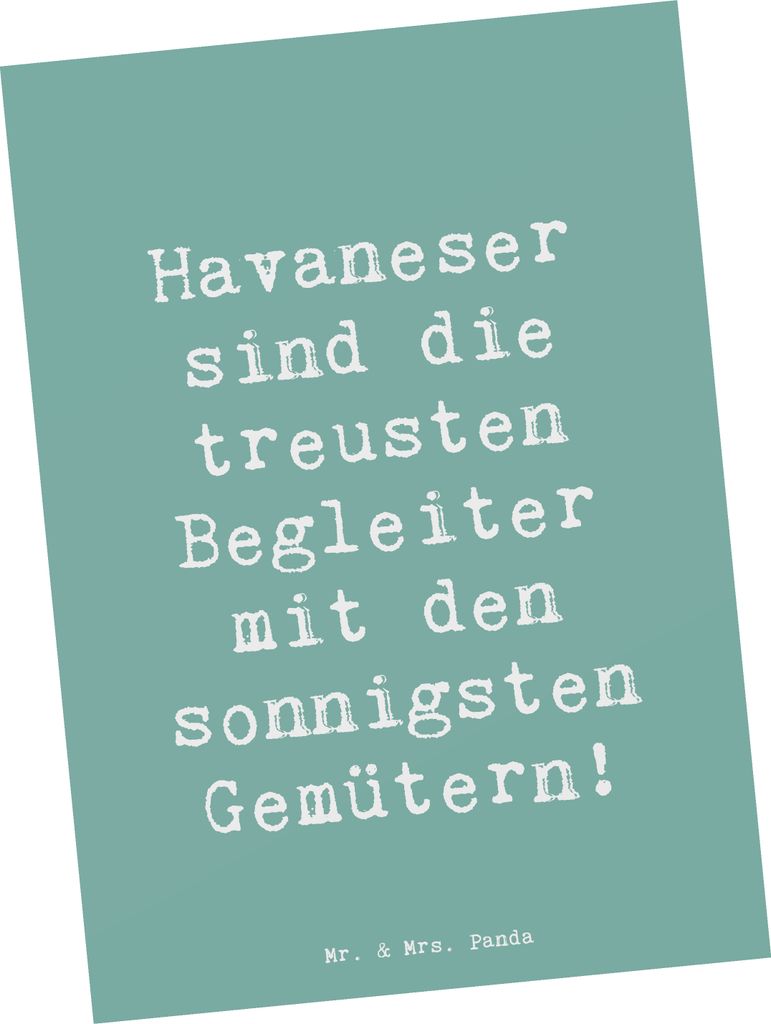 Mr. & Mrs. Panda Postkarte Spruch Havaneser Begleiter - Meeresbrise - Geschenk, Liebe, Grußkarte, Hund, Hunderassen Pflege, Fotokarte, Ansichtskar...