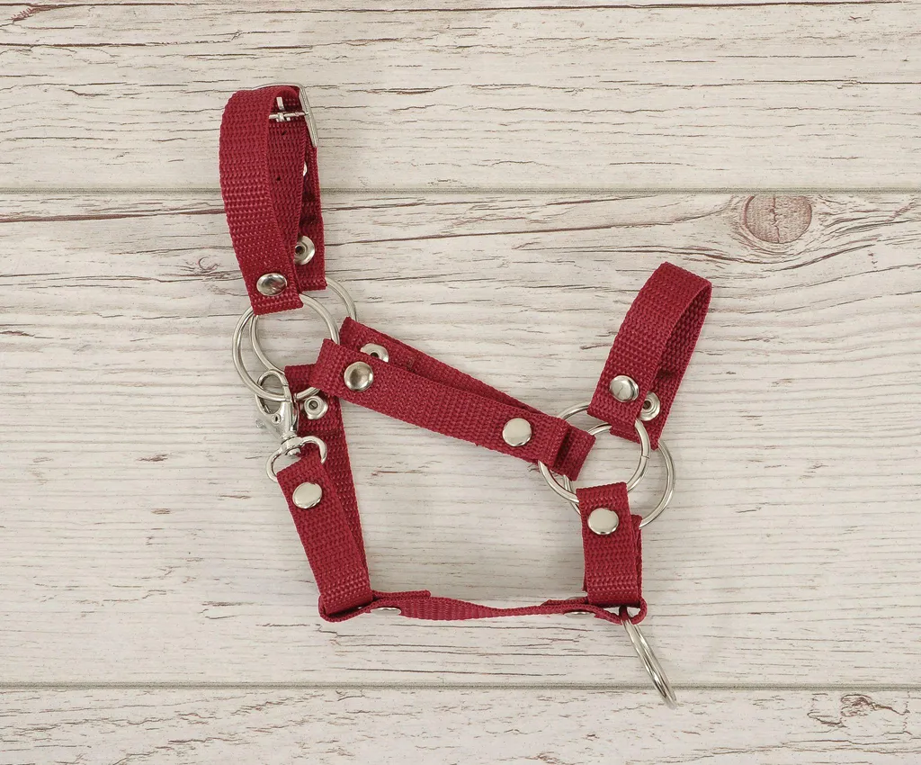 Licol bordeaux ajustable Hobby Horse A3 - Sangle résistante et design - 3