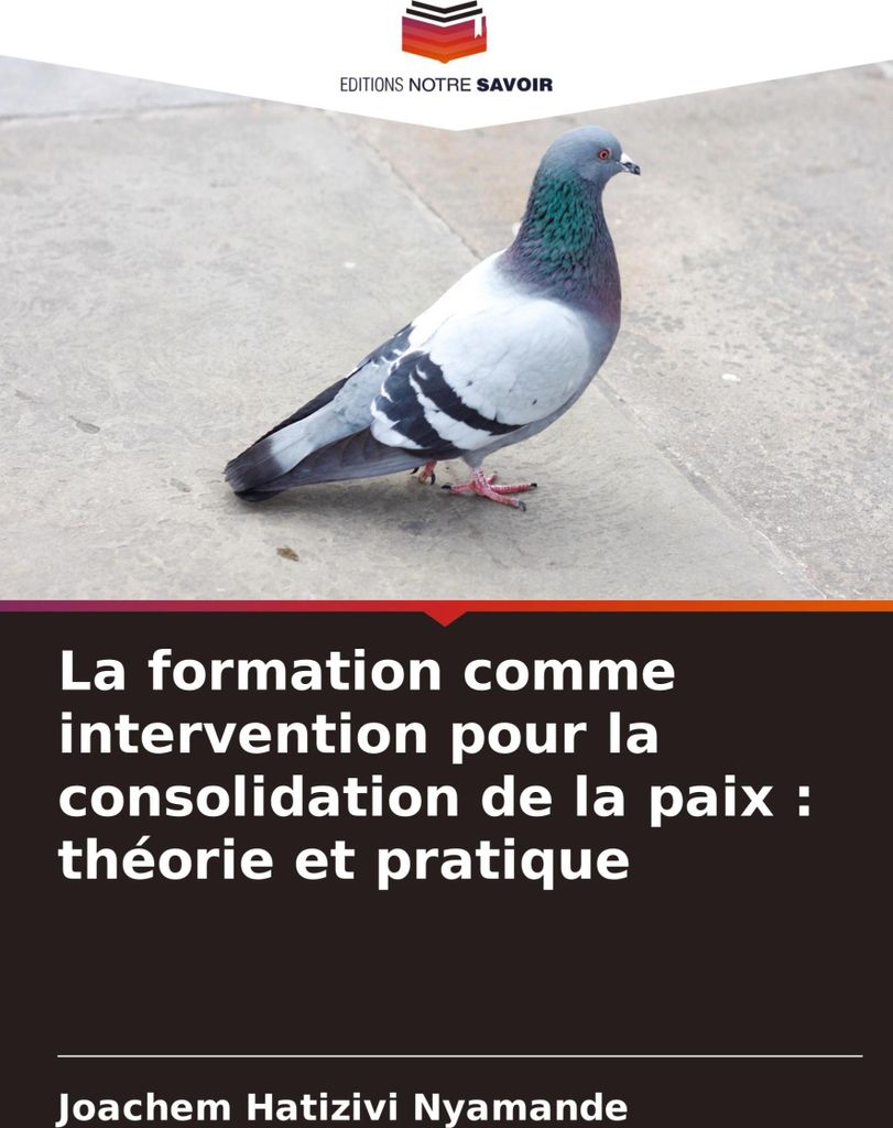 La formation comme intervention pour la consolidation de la paix : théorie et pratique
