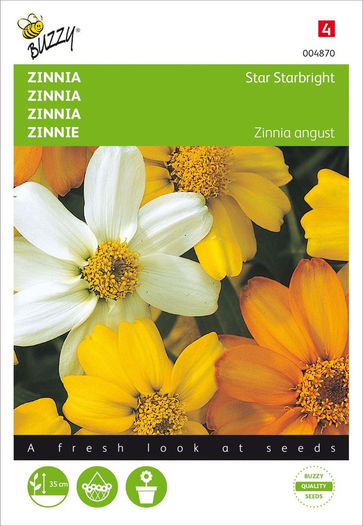 Zinnie Star Starbright Mischung | Zinniensamen von Buzzy Seeds