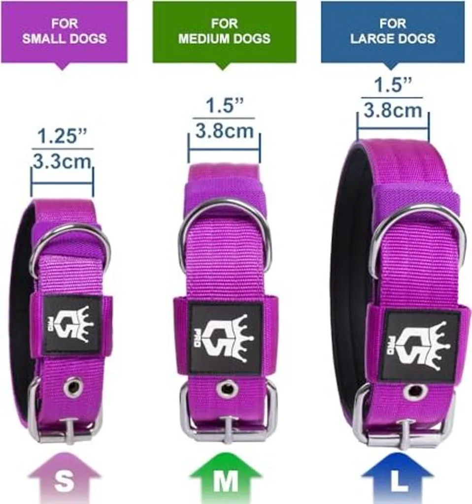 Collare Tattico Cane Piccolo S Arancione: Sicurezza e Fibbia Metallo - 3
