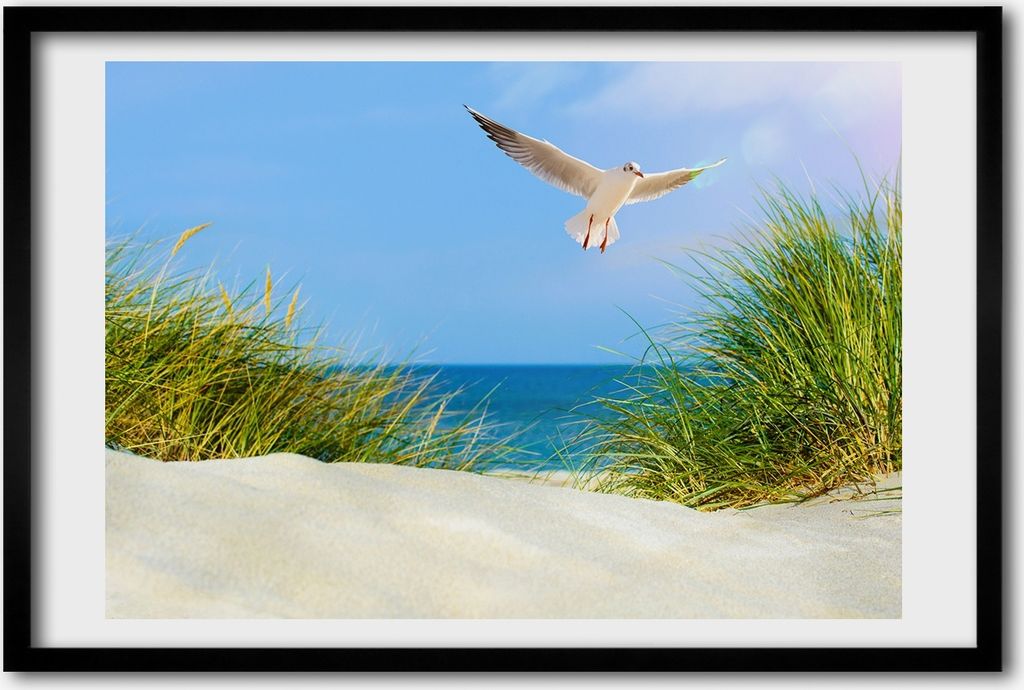 Bild 60x40 MDF-Rahmen, Wandkunst Möwe am Strand