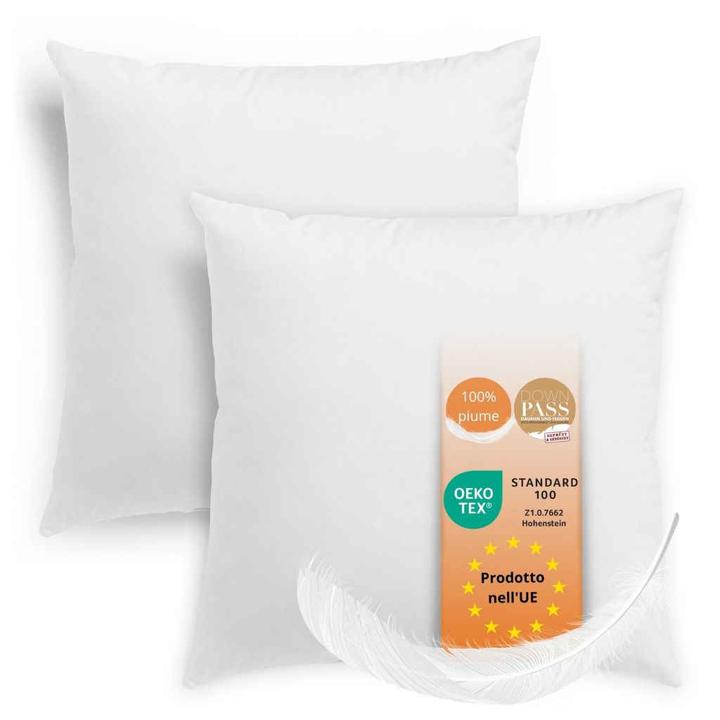 Cuscino in piuma 60 x 60 cm, set di 2, ingresso, Immagine del prodotto 