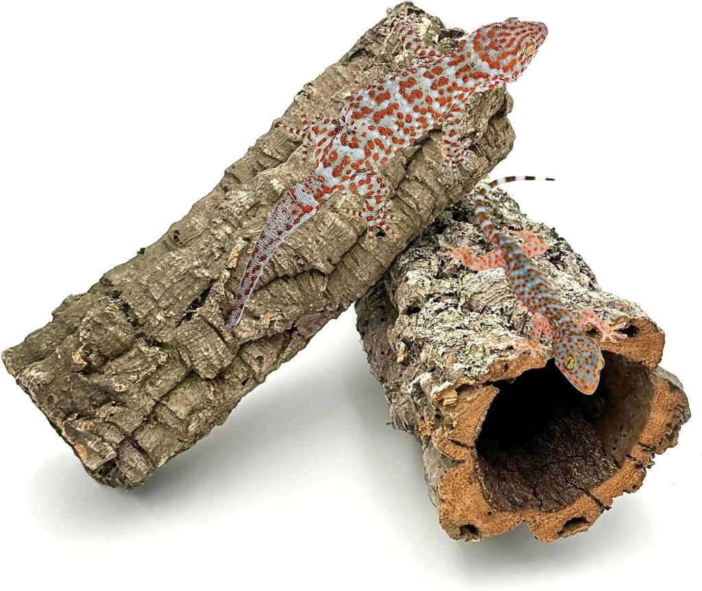 Tubo di sughero BioCork Tube XL in sughero di quercia Immagine del prodotto 