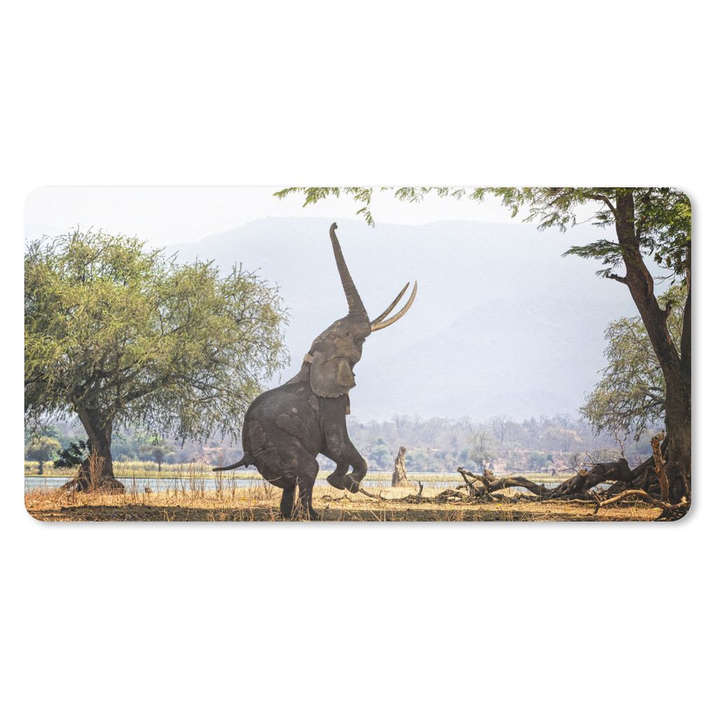 MuchoWow Schreibtischunterlage Elefant - Baum - Blätter 80x40 cm - XXL Mauspad - Gaming Mauspad