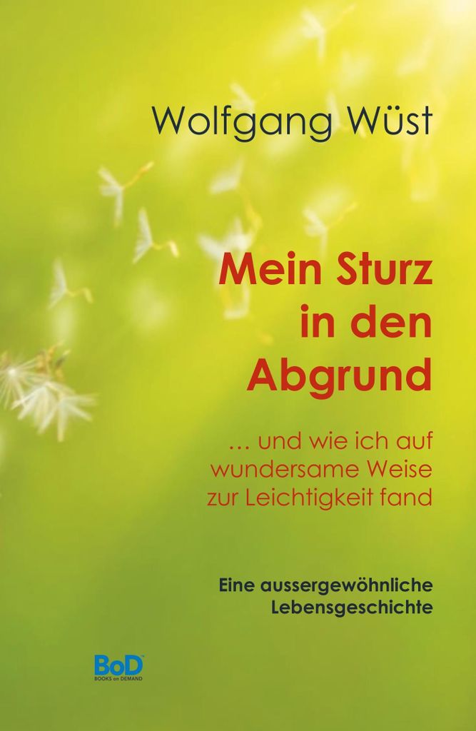 Mein Sturz in den Abgrund