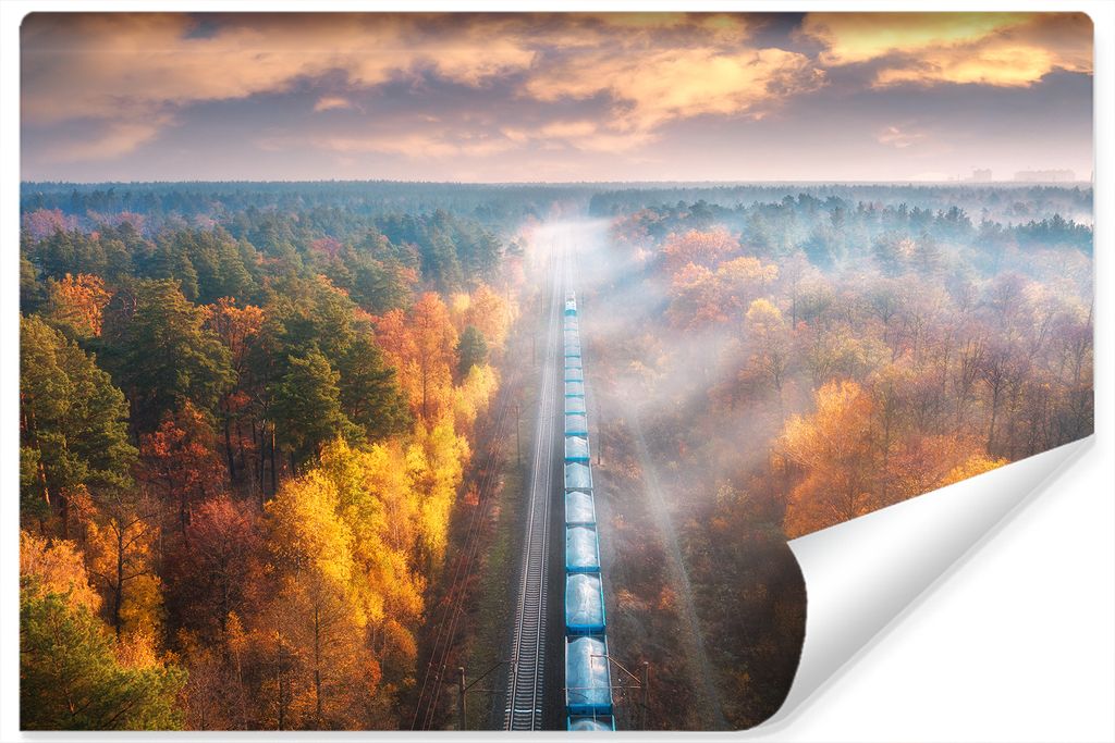Muralo XXL Selbstklebende FOTOTAPETE Zug BaeUME Aussicht von oben 3D Effekt (B) 416 cm x (H) 254 cm Tapete Wandtapete WOHNZIMMER SCHLAFZIMMER 4627