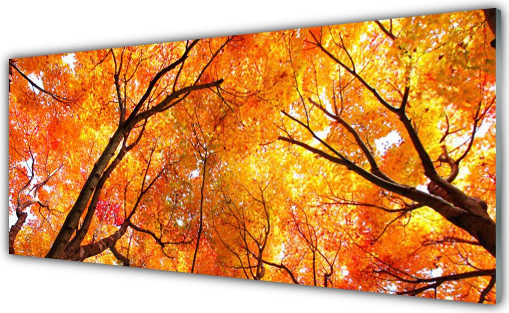 Glasbilder 125x50 Wandbild Druck auf Glas Bäume Natur