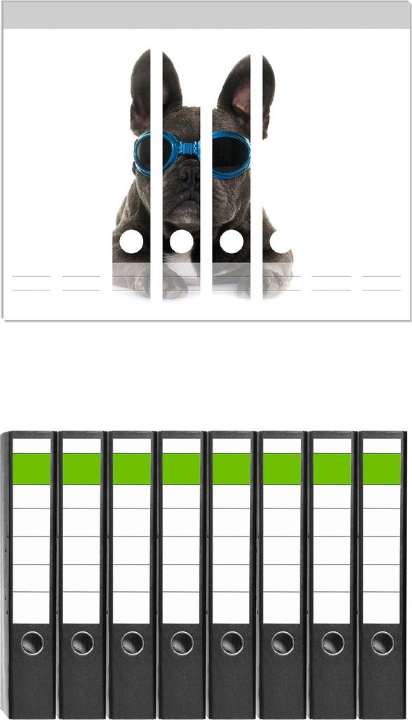 Wallario 8 Stück schmale Ordner inkl. Klebeetiketten mit Motive Cooler Hund mit Sonnenbrille in blau - Französische Bulldogge - Set mit Rückens...