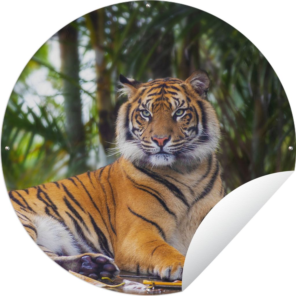 MuchoWow Gartenposter Outdoor-Poster Rund Tiger - Tiere - Wald - Dschungel Ø 150 cm Gartendeko Rundes Poster draußen