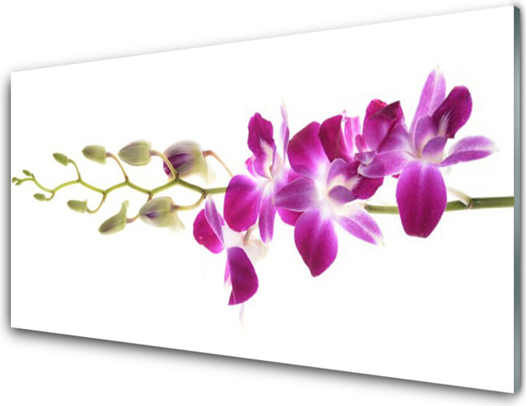 Küchenrückwand aus Glas 100x50cm Spritzschutz Blumen Pflanzen