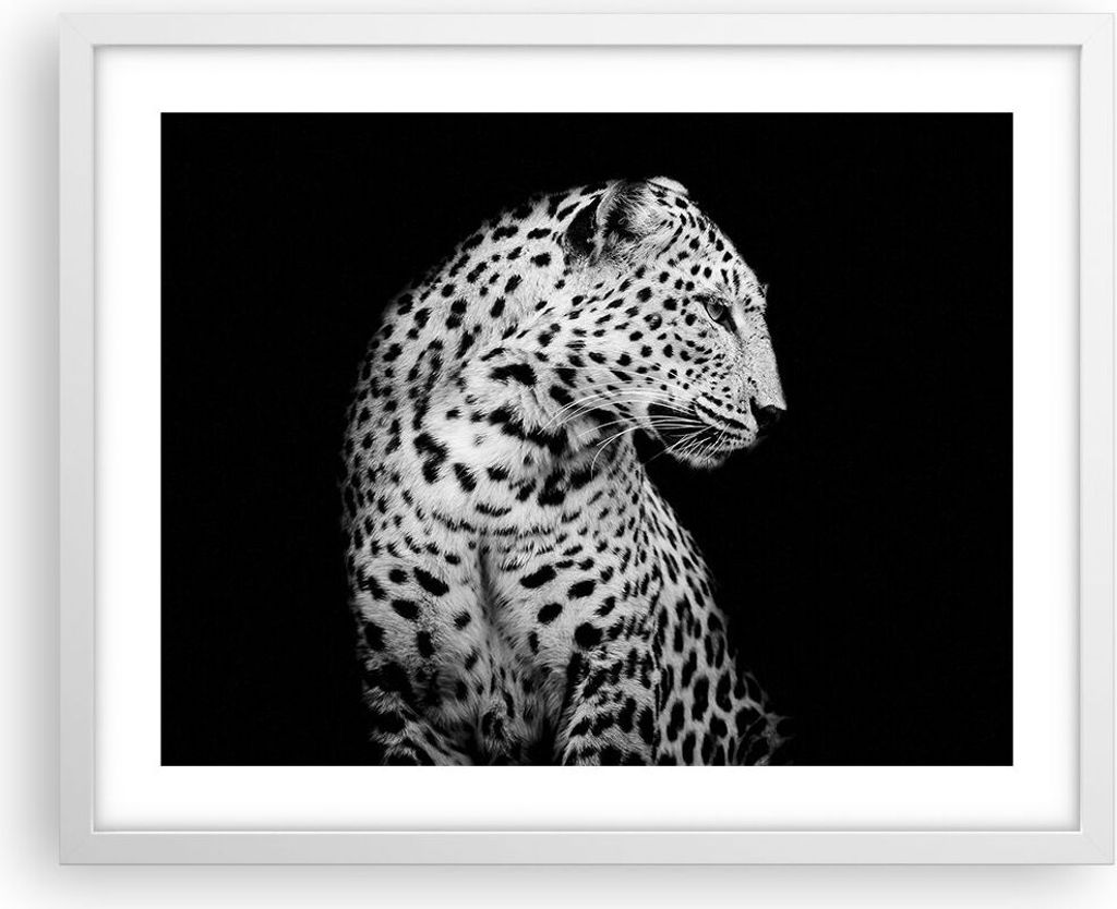 Gerahmtes Poster - Weißer Rahmen - Leopard Panther Katze - 50x40 cm - Wand Bild - Wanddeko - Wandbilder - Kunstposter - Wandposter - Bilderrahmen ...