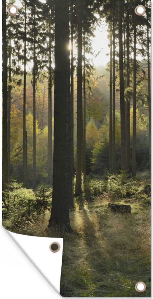 MuchoWow 30x60 cm Outdoor-Poster Gartendeko Sichtschutz Garten Poster für den Garten Wald - Sommer - Sonne