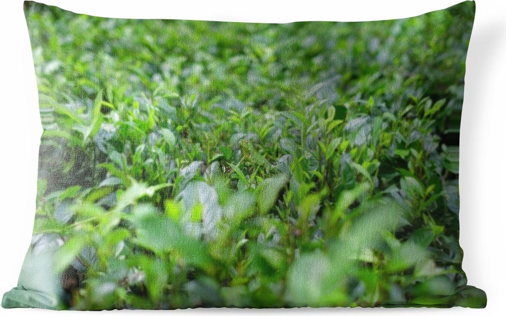 MuchoWow Outdoor Kissen - Grünpflanzen auf tropischem Boden - 60x40 cm - Wetterfest - Lounge Kissen - Zierkissen - Kissen für Innenräume