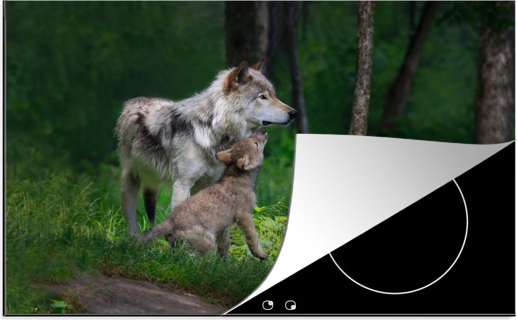 KitchenYeah Herdabdeckplatte Graue Wölfin mit ihrem Welpen , 80x52cm, Küche Deko, Glaskeramikfeld Herdabdeckung, Abdeckplatte fùr Kochfeld