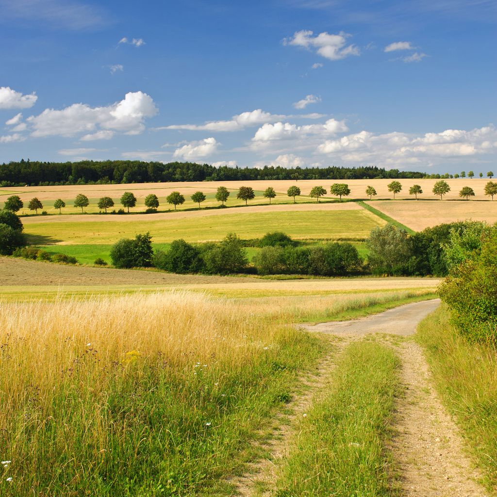 Wallario Möbeldesign / Aufkleber, geeignet für Ikea Lack Tisch - Feldlandschaft unter blauem Himmel in 55 x 55 cm