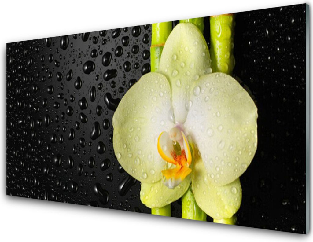 Acrylglasbilder 100x50 Wandbild Druck Bambusrohre Blume Pflanzen
