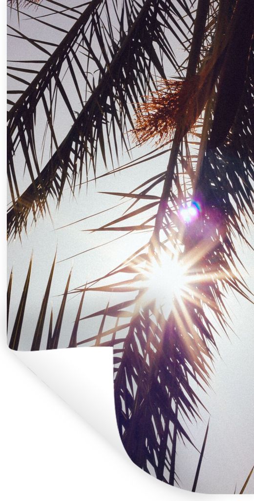 MuchoWow Wandtattoo Wandsticker Wandaufkleber Palmwedel - Sonne - Sommer 80x160 cm Selbstklebend und Repositionierbar - Sticker - Dekorfolie