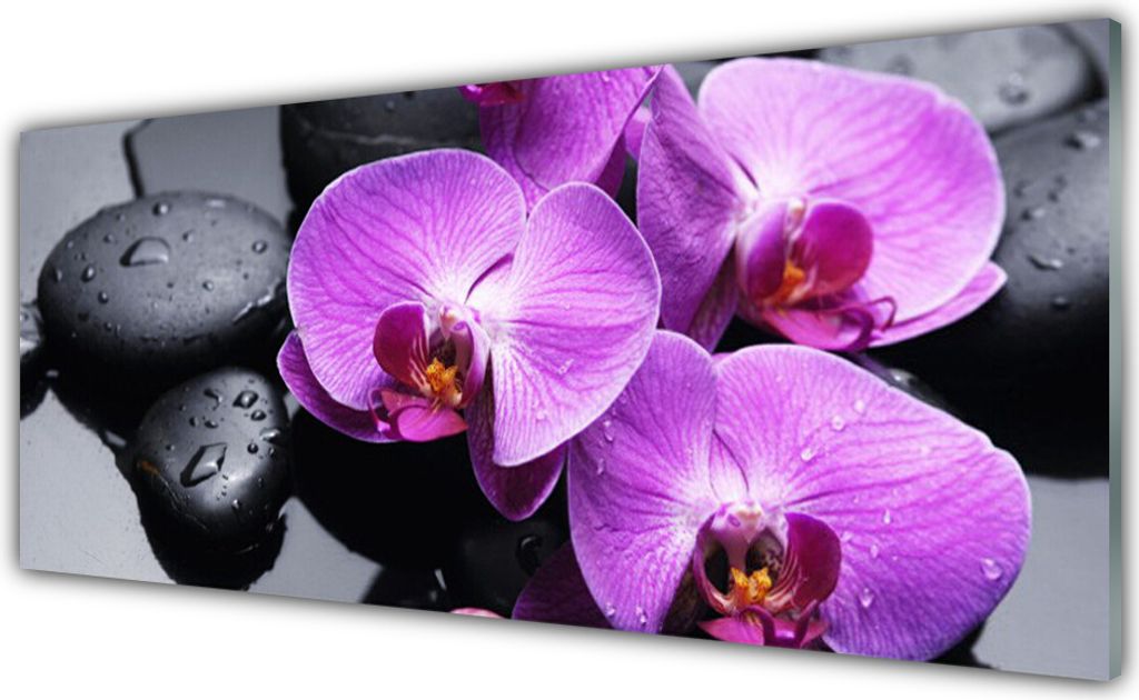 Glasbilder 125x50 Wandbild Druck auf Glas Blumen Steine Pflanzen