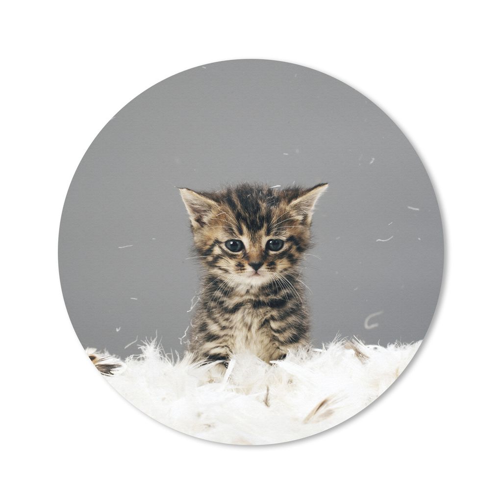 MuchoWow Mauspad Mousepad Katze - Kätzchen - Federn 20x20 cm - Mousepads - Maus Mat - Pad - Mausunterlage - Schreibtischmatte