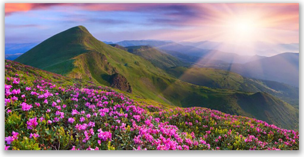 Tulup Leinwand-Bilder 140x70 Wandbild Canvas Kunstdruck Gebirge Wiese Blume Landschaft