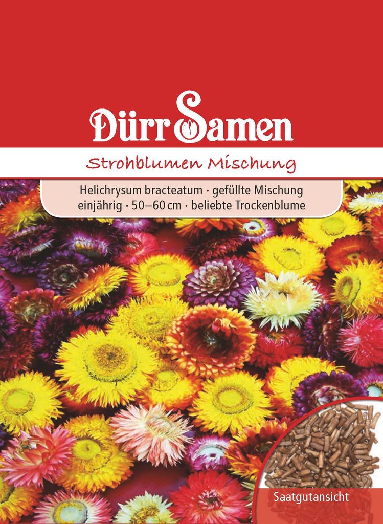 Strohblumen Mischung | Strohblumensamen von Dürr Samen Produktbild 