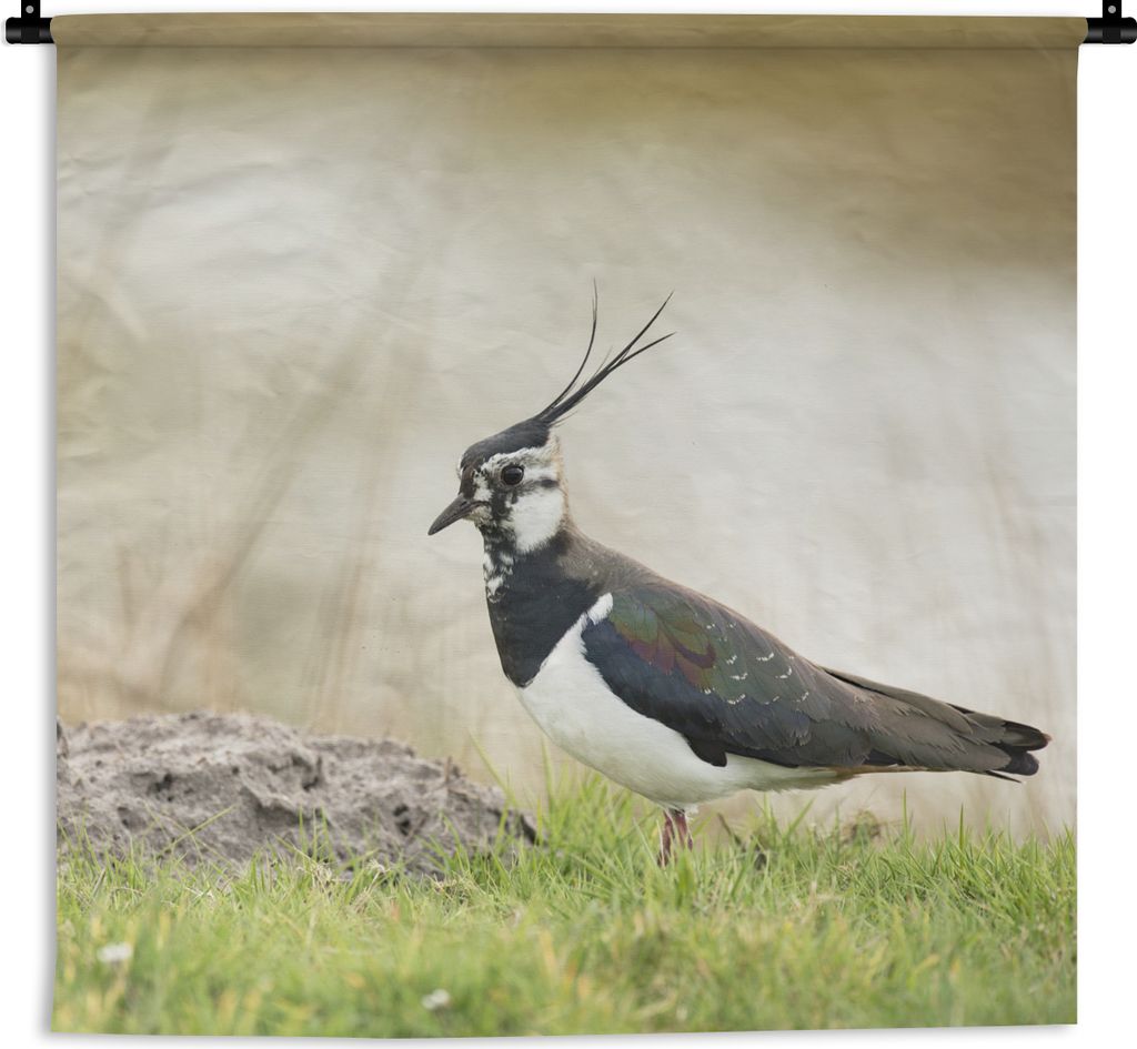 MuchoWow Wandteppich Wandbehang Vogel - Gras - Tiere - Natur - Kiebitz 120x120 cm Tapisserie Dekoration Wandtuch - Modern - Baumwollgewebe