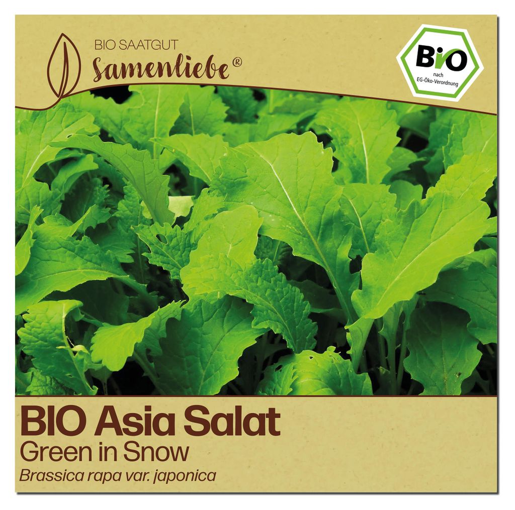 Samenliebe  Asia Salat Samen | Green in Snow - winterhart - Produktbild 