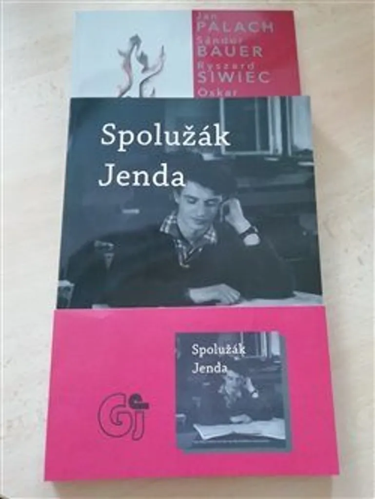 Jan Palach a dalším živým pochodním : Ouvrage Illustré de Petr Blažek