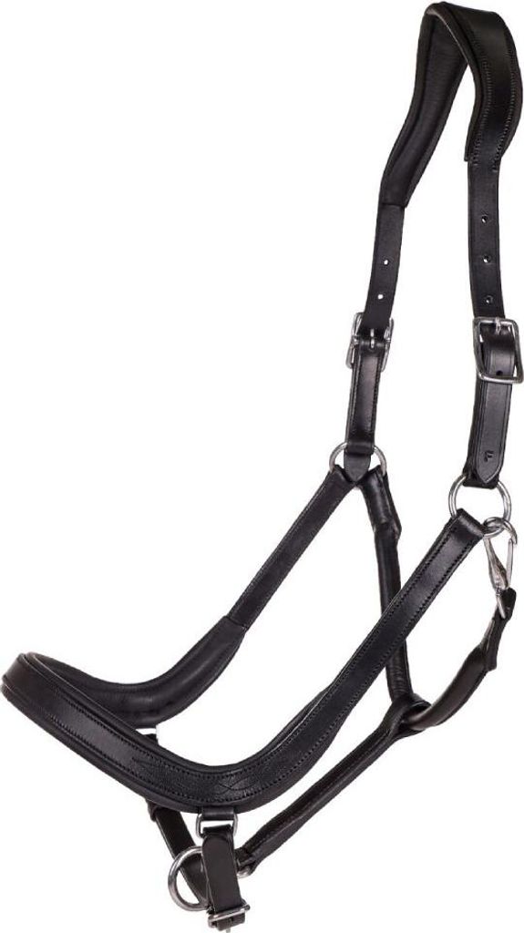 QHP Halfter Salerno anatomisch