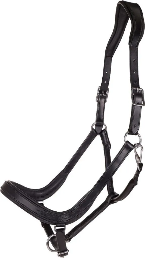 Licol QHP Salerno cuir souple et doublé pour prévenir les frottements