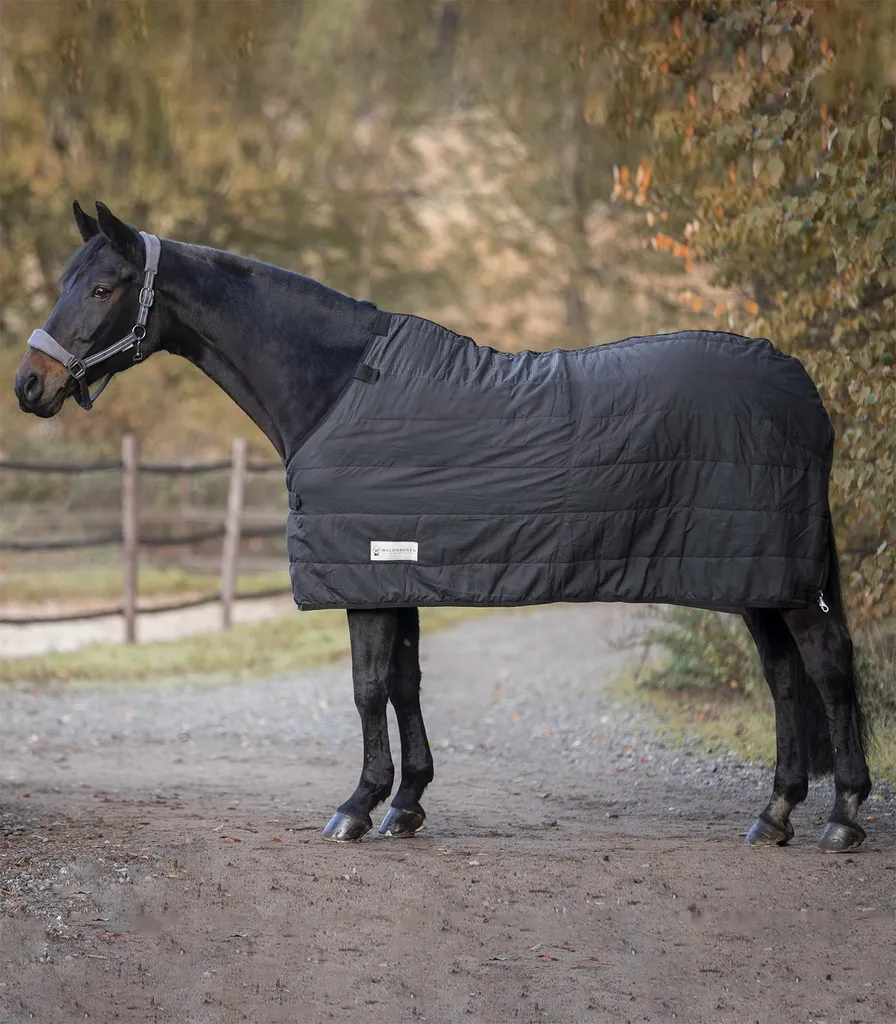 Évitez le Froid au Box avec le Tapis Waldhausen Thermo 100g Vert 135cm
