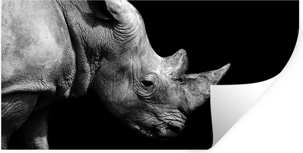 MuchoWow Wandtattoo Wandsticker Wandaufkleber Portrait Nashorn auf schwarzem Hintergrund 160x80 cm Selbstklebend und Repositionierbar - Sticker -...