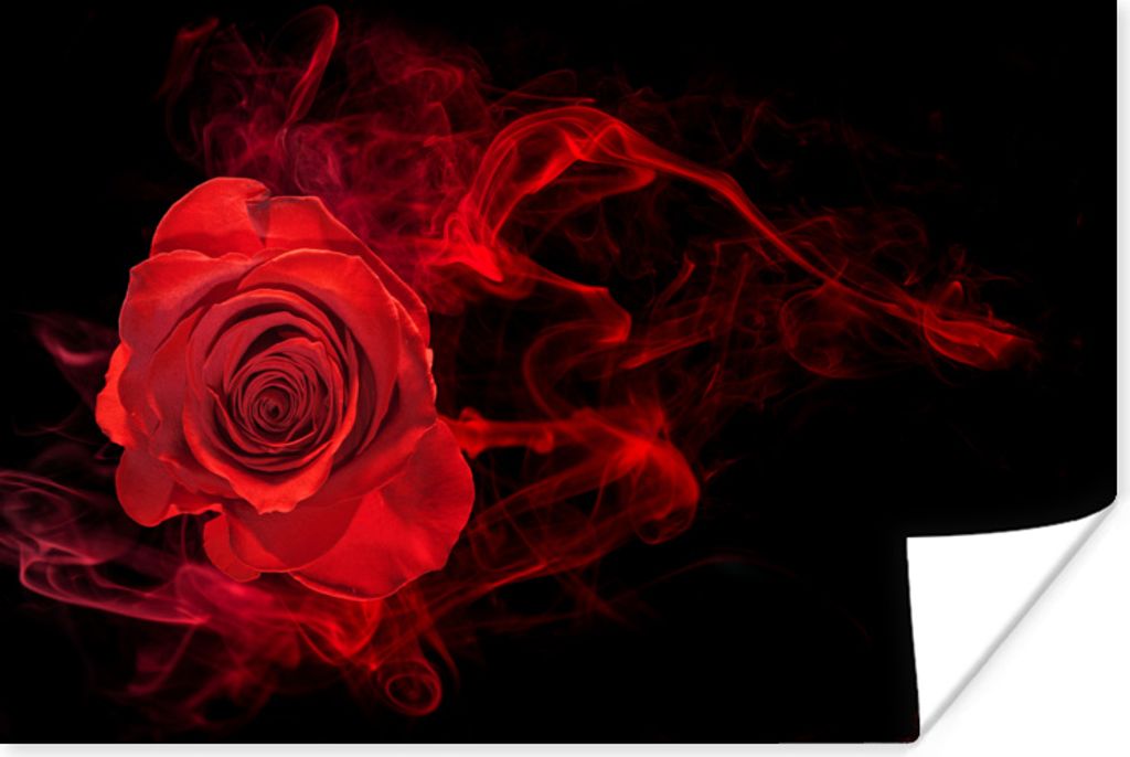 MuchoWow Poster Rosen - Rot - Schwarz 120x80 cm - Bilder