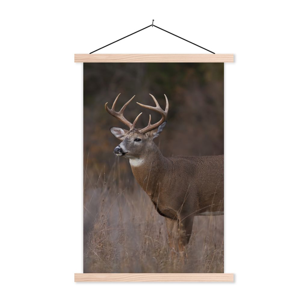 MuchoWow Textilposter Herbst - Hirsche - Gras - Natur - Tiere 120x180 cm mit holzfarbenen Rahmen - Textil-Plakat