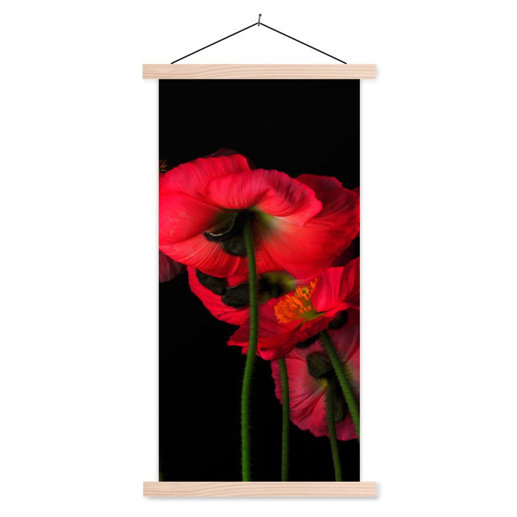 MuchoWow Textilposter Die isländischen Mohnblumen auf schwarzem Hintergrund 60x120 cm mit holzfarbenen Rahmen - Holz