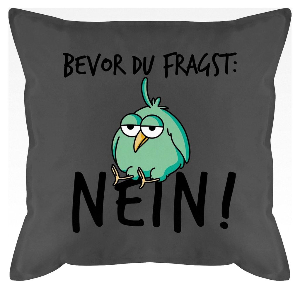 Kissen 50x50 - Spruch 'Bevor du fragst Nein' - Geschenk für Kollegen - 50 x 50 cm - Grau