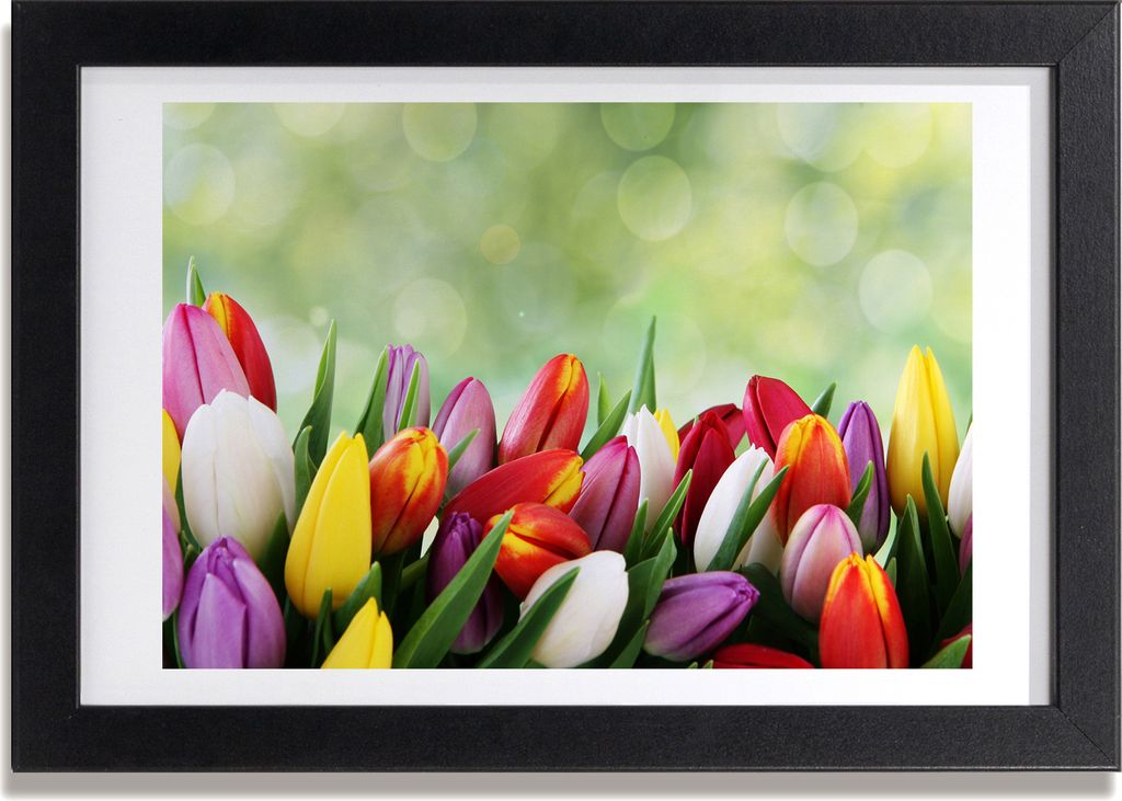 Bild 30x20 MDF-Rahmen, Wandkunst bunte Tulpen