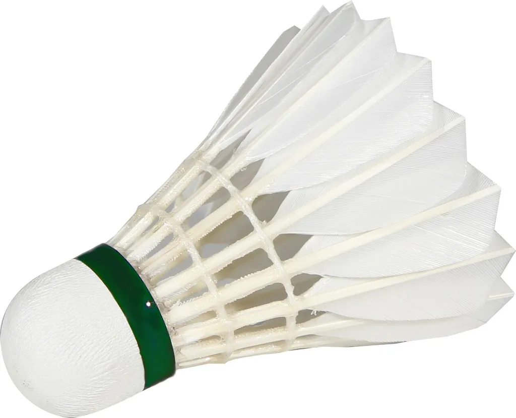 Volants de badminton résistants Victor Pro Court avec base liège