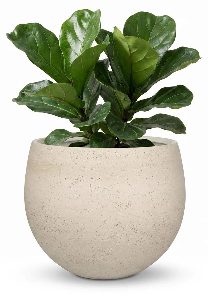 aplanta Pflanztopf Sandro beige | 36X31, für drinnen, Produktbild 