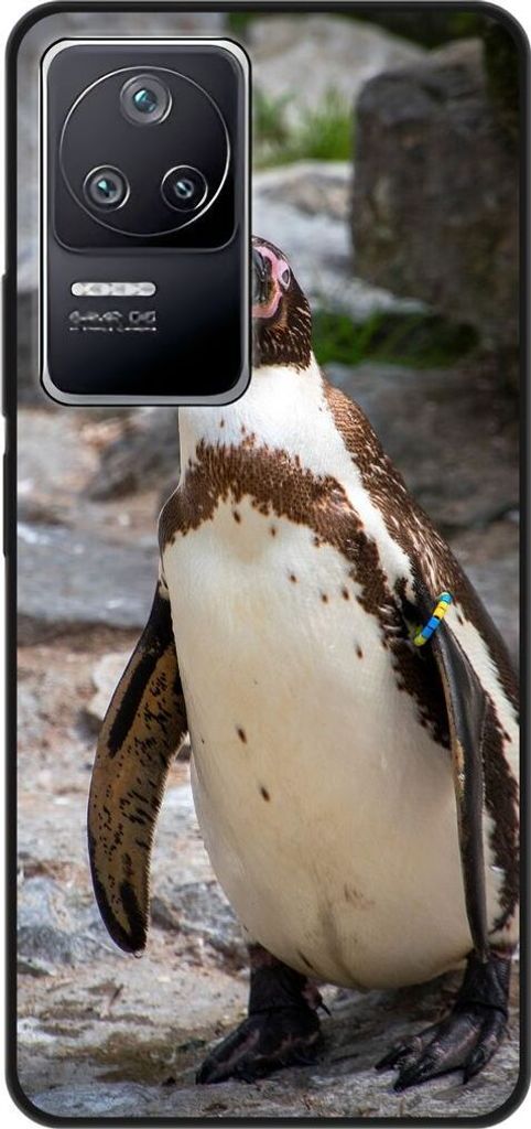 König Design Hülle kompatibel mit Xiaomi Poco F4 Kunststoff Soft Handyhülle - Handy Case Pinguin
